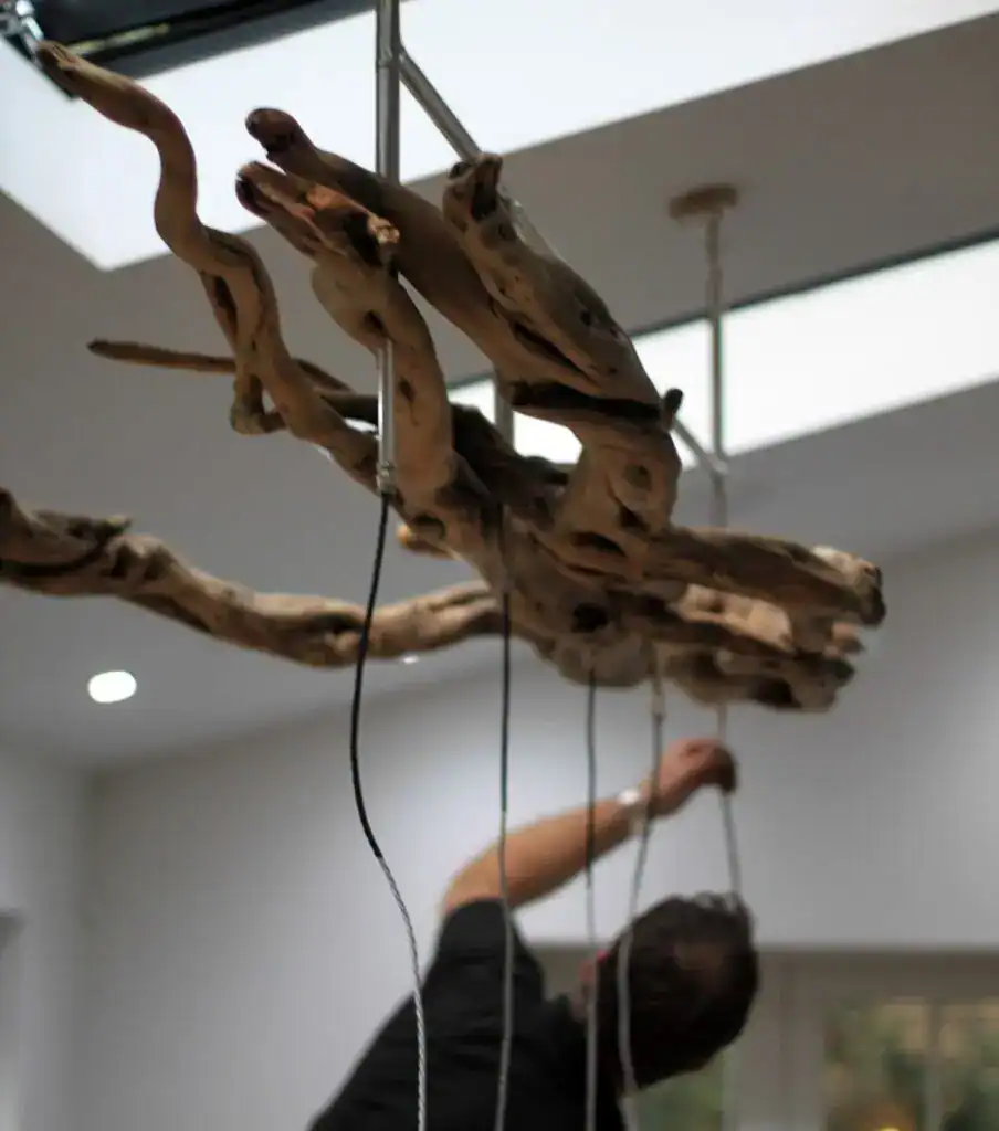 Unique driftwood chandelier with integrated lighting for modern interior decor.
