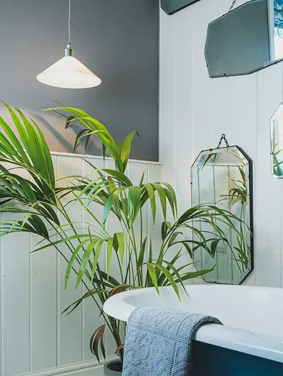 Elegant indoor lighting with a modern pendant lamp.