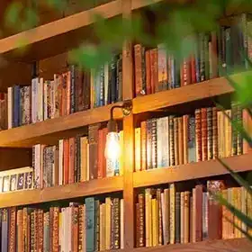 Vintage filament bulb in a bookshelf setting.