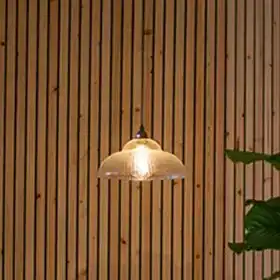 Elegant pendant light fixture with a glass shade.