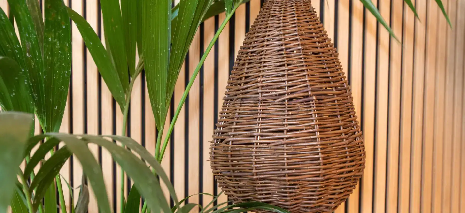 Elegant wicker pendant light fixture in a modern interior setting.