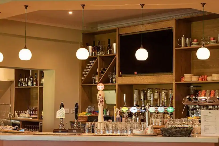 Elegant bar lighting with modern pendant lamps.