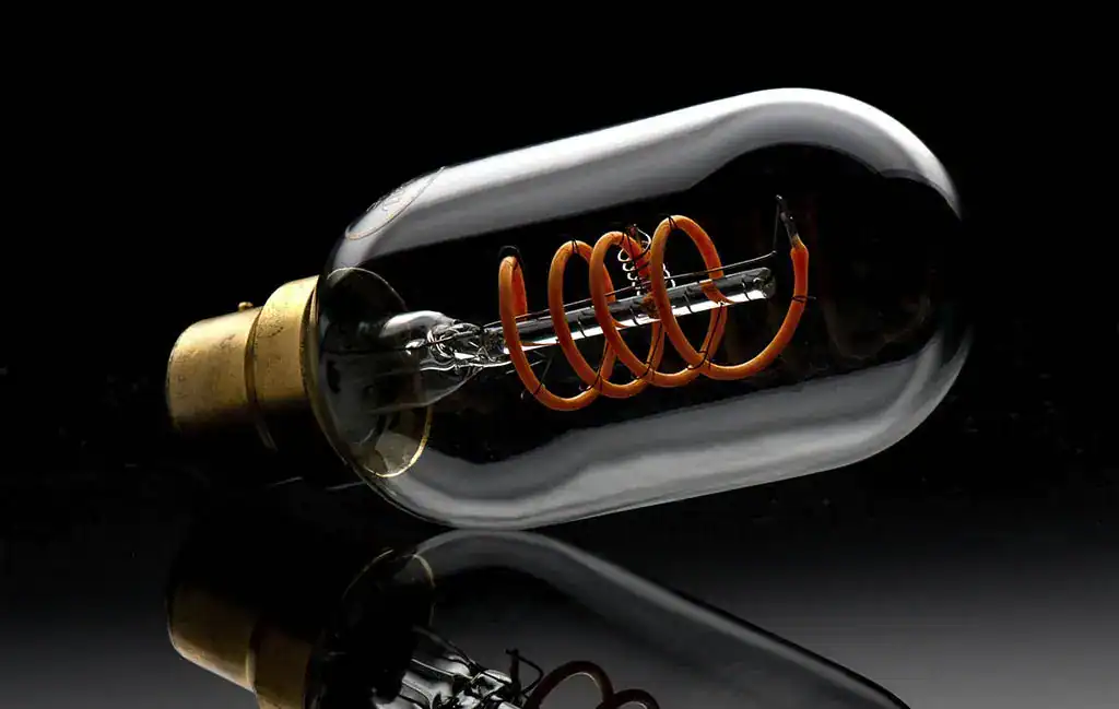 Vintage Edison Light Bulb with Filament.