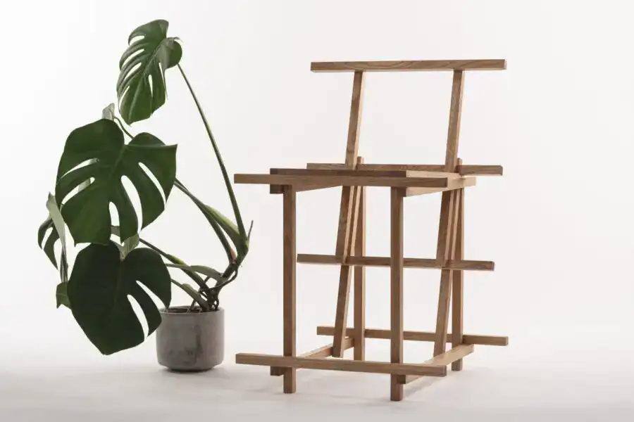 Modern wooden shelving unit with a potted monstera plant on a white background.
